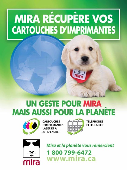 affiche-francais-2013